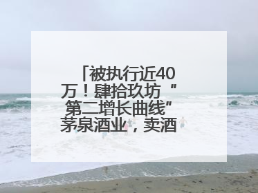 被执行近40万！肆拾玖坊“第二增长曲线”茅泉酒业，卖酒还是卖模式？