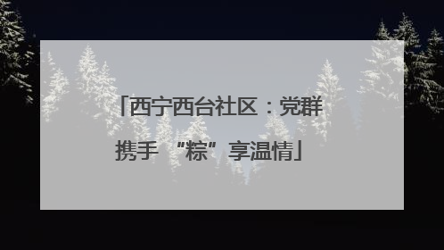 西宁西台社区：党群携手 “粽”享温情
