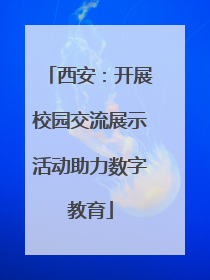 西安：开展校园交流展示活动助力数字教育