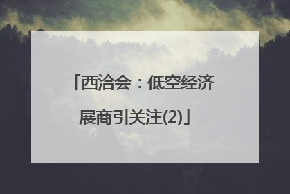 西洽会：低空经济展商引关注(2)