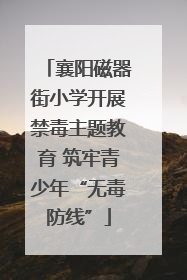 襄阳磁器街小学开展禁毒主题教育 筑牢青少年“无毒防线”