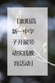 襄阳高新一中学子开展劳动实践教育活动