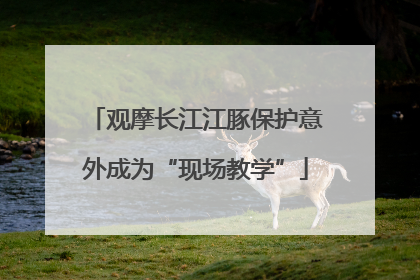 观摩长江江豚保护意外成为“现场教学”