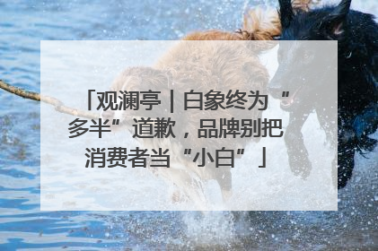 观澜亭｜白象终为“多半”道歉，品牌别把消费者当“小白”