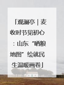 观澜亭｜麦收时节见初心：山东“晒粮地图”绘就民生温暖画卷