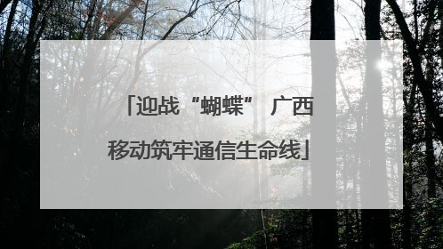 迎战“蝴蝶” 广西移动筑牢通信生命线