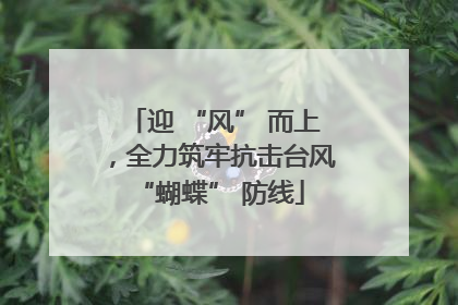迎 “风” 而上，全力筑牢抗击台风 “蝴蝶” 防线
