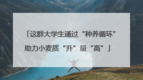 这群大学生通过“种养循环”助力小麦质“升”量“高”