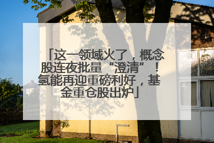这一领域火了，概念股连夜批量“澄清”！氢能再迎重磅利好，基金重仓股出炉