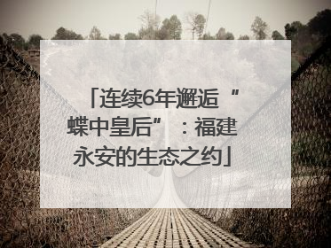 连续6年邂逅“蝶中皇后”：福建永安的生态之约