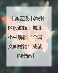 连云港市海州区板浦镇：城北小村解锁“全国文明村镇”成就的密码
