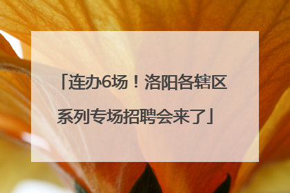连办6场！洛阳各辖区系列专场招聘会来了