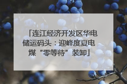 连江经济开发区华电储运码头：迎峰度夏电煤“零等待”装卸