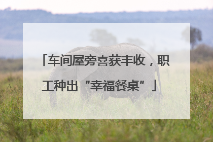 车间屋旁喜获丰收，职工种出“幸福餐桌”