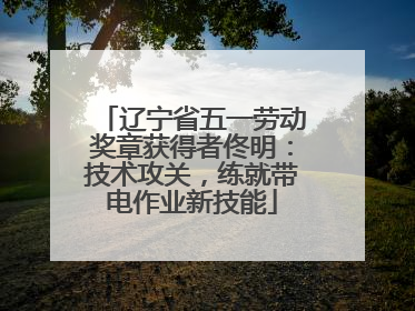 辽宁省五一劳动奖章获得者佟明：技术攻关，练就带电作业新技能