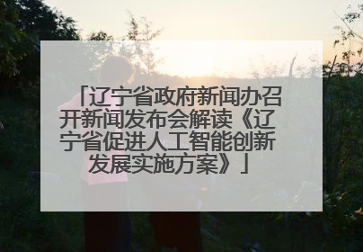 辽宁省政府新闻办召开新闻发布会解读《辽宁省促进人工智能创新发展实施方案》