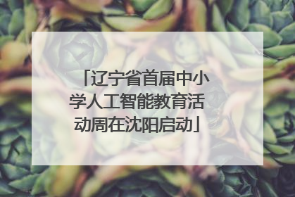 辽宁省首届中小学人工智能教育活动周在沈阳启动