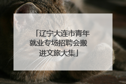 辽宁大连市青年就业专场招聘会搬进文旅大集