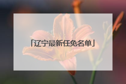 辽宁最新任免名单