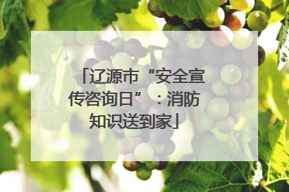 辽源市“安全宣传咨询日”：消防知识送到家