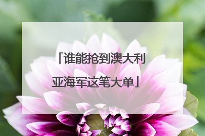 谁能抢到澳大利亚海军这笔大单