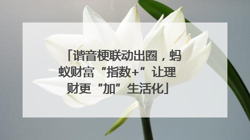 谐音梗联动出圈，蚂蚁财富“指数+”让理财更“加”生活化