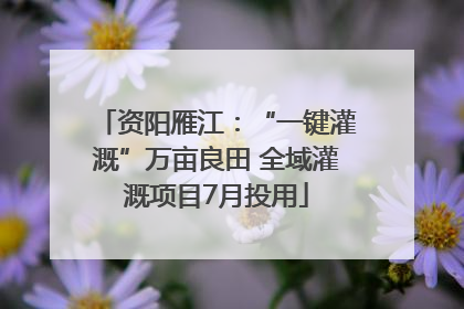 资阳雁江：“一键灌溉”万亩良田 全域灌溉项目7月投用