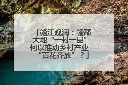 赣江观澜：赣鄱大地“一村一品”何以推动乡村产业“百花齐放”？