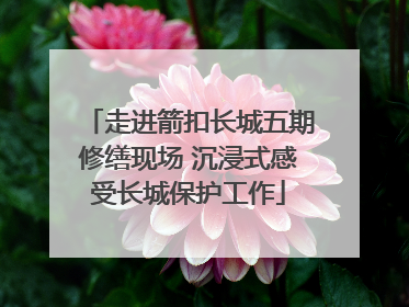 走进箭扣长城五期修缮现场 沉浸式感受长城保护工作