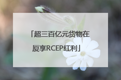 超三百亿元货物在厦享RCEP红利