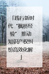 践行新时代“枫桥经验” 推动知识产权纠纷高效化解