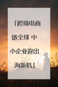 跨境电商链全球 中小企业迎出海新机