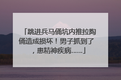 跳进兵马俑坑内推拉陶俑造成损坏！男子抓到了，患精神疾病……