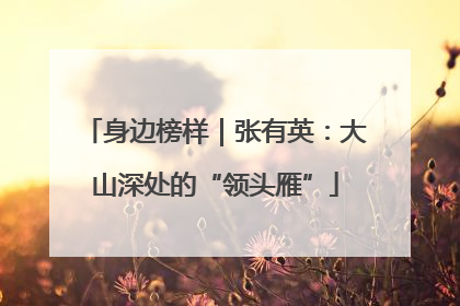 身边榜样｜张有英：大山深处的“领头雁”