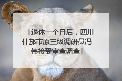 退休一个月后，四川什邡市原三级调研员冯伟接受审查调查