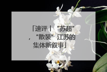 速评丨“苏超”，“散装”江苏的集体新叙事