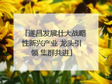 遂昌发展壮大战略性新兴产业 龙头引领 集群共进