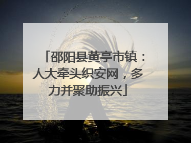 邵阳县黄亭市镇：人大牵头织安网，多力并聚助振兴