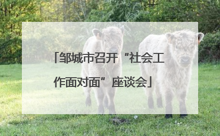 邹城市召开“社会工作面对面”座谈会