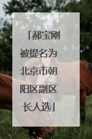 郝宝刚被提名为北京市朝阳区副区长人选