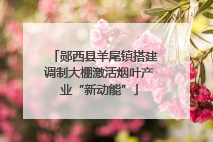 郧西县羊尾镇搭建调制大棚激活烟叶产业“新动能”
