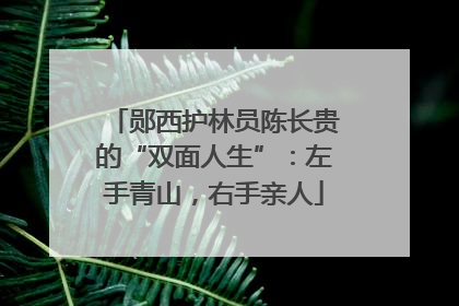 郧西护林员陈长贵的“双面人生”：左手青山，右手亲人