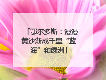 鄂尔多斯：漫漫黄沙渐成千里“蓝海”和绿洲
