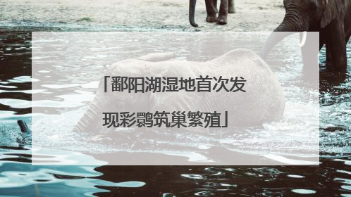 鄱阳湖湿地首次发现彩鹮筑巢繁殖