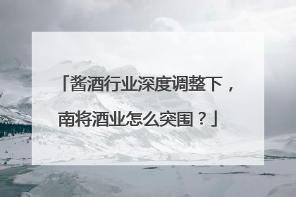 酱酒行业深度调整下，南将酒业怎么突围？