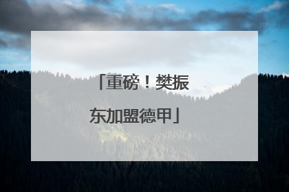 重磅！樊振东加盟德甲