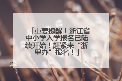 重要提醒！浙江省中小学入学报名已陆续开始！赶紧来“浙里办”报名！