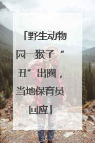 野生动物园一猴子“丑”出圈，当地保育员回应