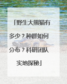 野生大熊猫有多少？种群如何分布？科研团队实地探秘