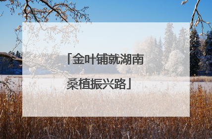 金叶铺就湖南桑植振兴路